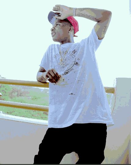 Wizkid Finally Meets With Chris Brown In Denmark For Their Tour (Photos)