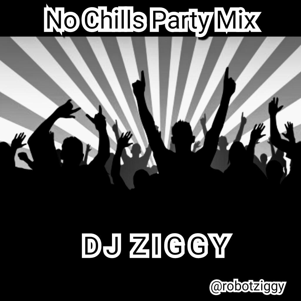 DOWNLOAD No Chills Party Mix – Dj Ziggy mp3
