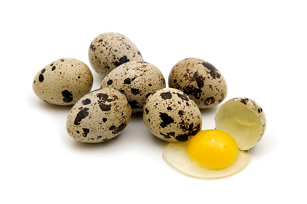 Quail Eggs & It’s Surprising Benefits