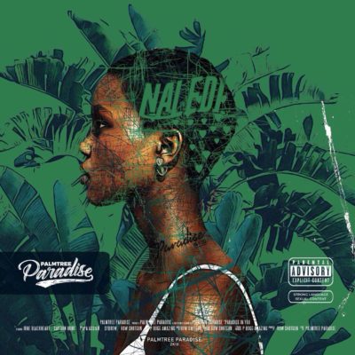 DOWNLOAD MP3: PalmTree Paradise – Naledi