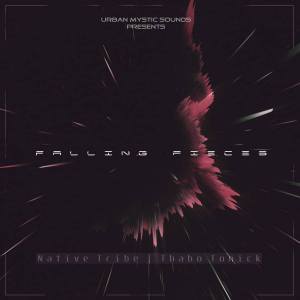 Native Tribe & Thabo Tonick – Falling Pieces (Original Mix)