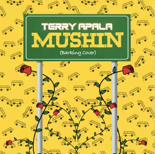 Terry Apala – Mushin (Barking by Ramz Cover)