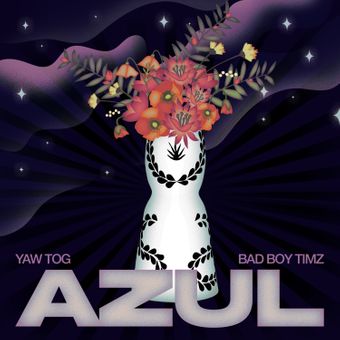 DOWNLOAD Yaw Tog – Azul Ft Bad Boy Timz mp3