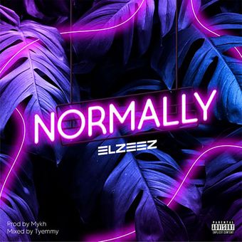 DOWNLOAD Elzeez – Normally mp3