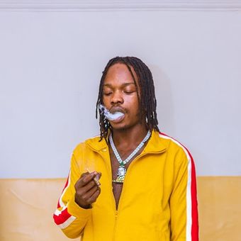 DOWNLOAD Dj Wizkel – Best Of Naira Marley (2022) mp3
