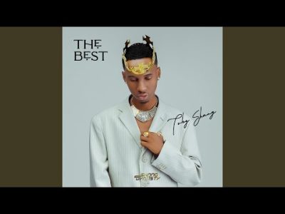 DOWNLOAD Toby Shang – The Best mp3