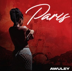DOWNLOAD Awuley – Paris mp3