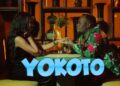 DOWNLOAD David Lutalo ft Pafect – Yokoto mp3