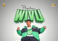 DOWNLOAD Platform TZ – Wivu mp3
