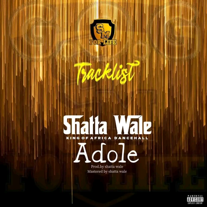DOWNLOAD Shatta Wale – Adole mp3