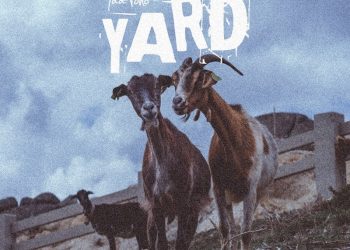 DOWNLOAD Yaa Pono – Yard mp3