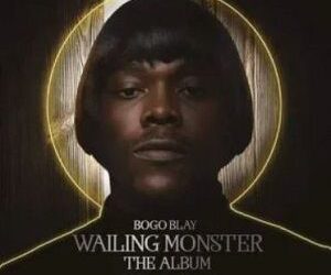 DOWNLOAD Bogo Blay Vacation Song mp3