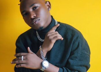 DOWNLOAD Kayumba ft. Rayvanny – Shake mp3