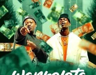 DOWNLOAD Pushkin & Springle – Wankolota ft Bassie & T&T Muziq mp3