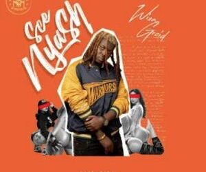 DOWNLOAD Wisa Greid – See Nyash mp3