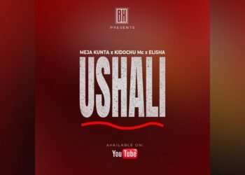 DOWNLOAD Meja Kunta ft Kidochu MC & Elisha – USHALI mp3