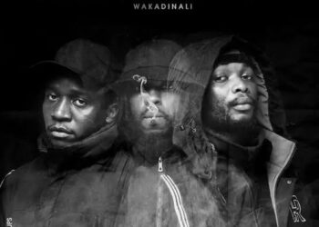 DOWNLOAD Wakandinali – Sikutrambui mp3