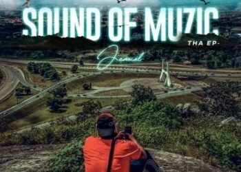 DOWNLOAD Panda Muzic ft. Odumodublvck – Party mp3
