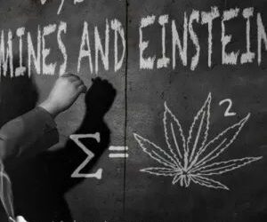 DOWNLOAD Vybz Kartel – Mines & Einstein mp3