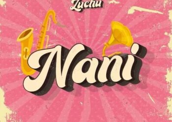 DOWNLOAD Zuchu – Nani mp3
