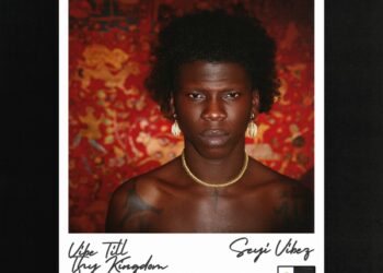 DOWNLOAD Seyi Vibez – Suddenly ft Young Jonn mp3