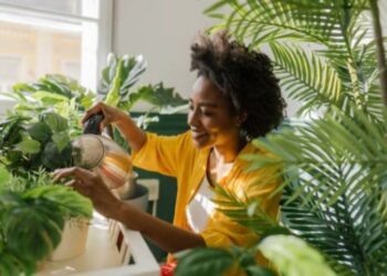 5 benefits of keeping houseplants in your home