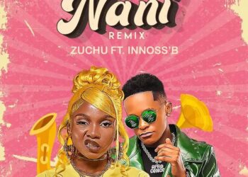 DOWNLOAD Zuchu Ft Innoss B – Nani Remix mp3