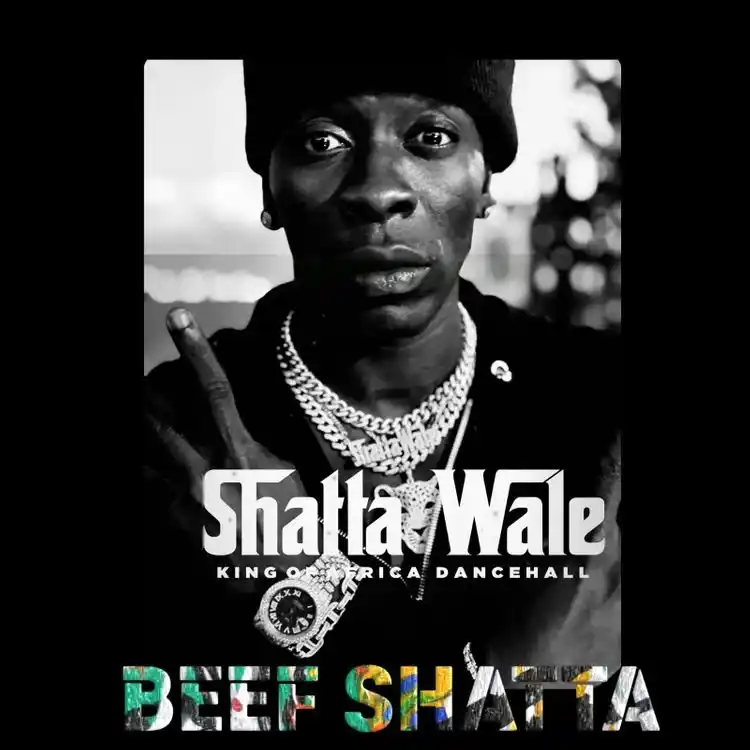 DOWNLOAD Shatta Wale – Beef Shatta mp3