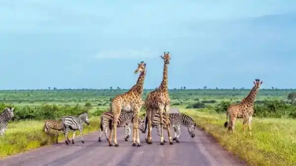 9 pocket-friendly adventures in South Africa