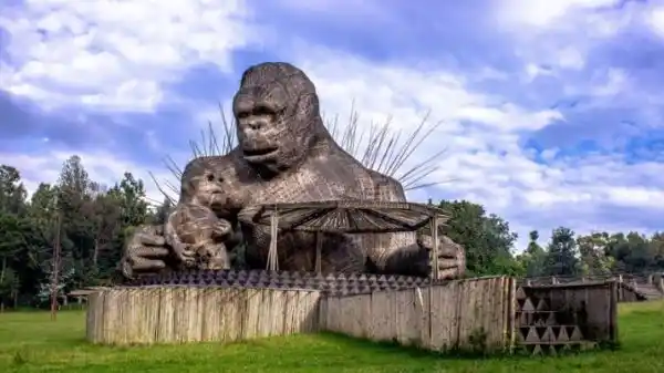 9 reasons to add Rwanda to your travel bucket list