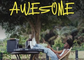 DOWNLOAD DJ Shawn – Naira Ft. Niniola mp3