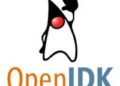 Fix High CPU Usage by OpenJDK Platform Binary
