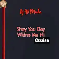DOWNLOAD DJ YK Mule – Shey You Dey Whine Ni (Cruise) mp3