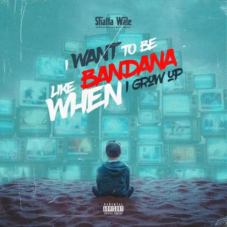 DOWNLOAD Shatta Wale – I Want To Be Like Bandana mp3