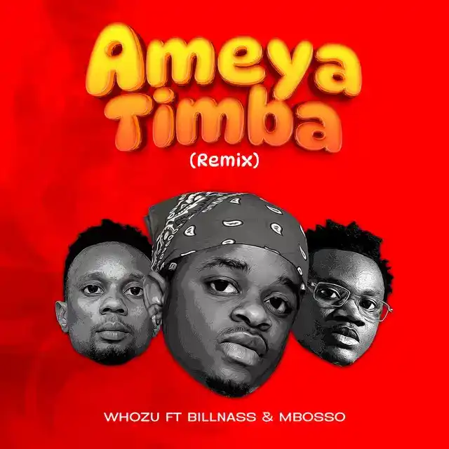 DOWNLOAD Whozu – Ameyatimba (Remix) Ft. Billnass & Mbosso mp3