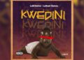 DOWNLOAD Lolli Native – Kwedini ft. Larush yezinto mp3
