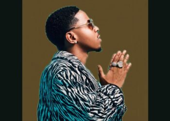 DOWNLOAD Felo Le Tee – imali Ft. LeeMckrazy, Musical Jazz & Soul Revolver mp3