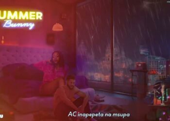 DOWNLOAD Ssaru – Summer Bunny mp3
