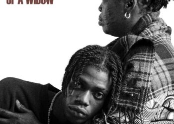 DOWNLOAD Ayox – Ashewo Boy Ft. Tekno mp3