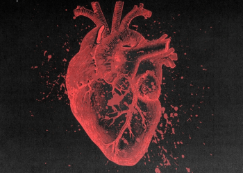 DOWNLOAD Llona – HBP (Remix) ft. Bella Shmurda mp3