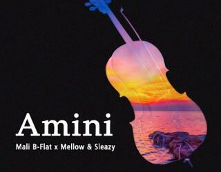 DOWNLOAD Mali B-flat – Amini ft Mellow Sleazy mp3