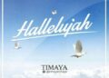 DOWNLOAD Timaya – Hallelujah mp3