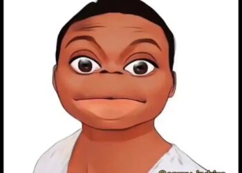 DOWNLOAD Indriza – Canada Remix ft. Shallipopi, Asake & Seyi Vibez mp3