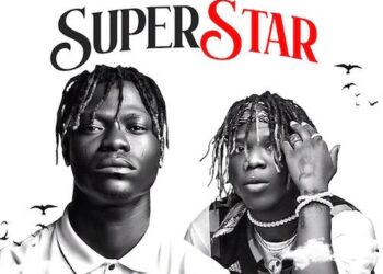 DOWNLOAD Mr Paradise x Seyi Vibez – Super Star mp3