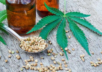 CBD Oil for Arthritis in Dogs