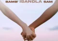 DOWNLOAD Shuga Cane – Bamb’Isandla sam ft. NtoMusica mp3