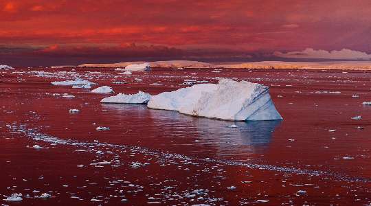 Apart From Being World's Coldest Region, Here Are 10 Shocking Facts About The ANTARCTICA That You Never Knew!