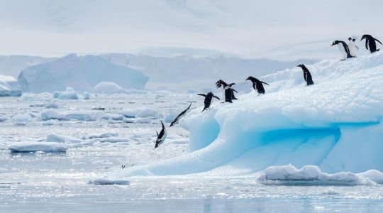 Apart From Being World's Coldest Region, Here Are 10 Shocking Facts About The ANTARCTICA That You Never Knew!