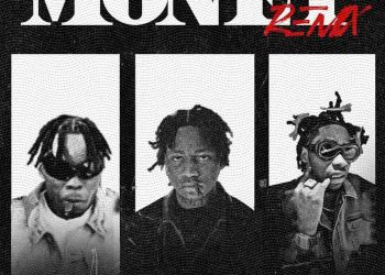 DOWNLOAD Lavish VIG – Money (Remix) ft. Damo K & Jeriq mp3