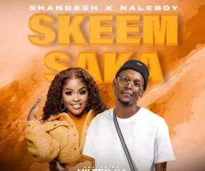 DOWNLOAD Shandesh & NaleBoy – Skeem Saka Ft. Hitler SA mp3